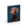 The Dog Encyclopedia (DK Pet Encyclopedias) - Image 2