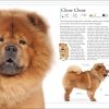 The Dog Encyclopedia (DK Pet Encyclopedias) - Image 9
