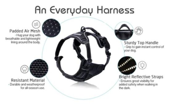 rabbitgoo Dog Harness, No-Pull Pet Harness with 2 Leash Clips, Adjustable Soft Padded Dog Vest, Reflective No-Choke Pet Oxford Vest with Easy Control Handle for Large Dogs, Black, L - Image 2