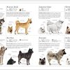 The Dog Encyclopedia (DK Pet Encyclopedias) - Image 8