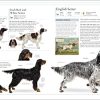The Dog Encyclopedia (DK Pet Encyclopedias) - Image 6
