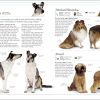 The Dog Encyclopedia (DK Pet Encyclopedias) - Image 10
