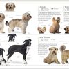The Dog Encyclopedia (DK Pet Encyclopedias) - Image 4