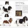 The Dog Encyclopedia (DK Pet Encyclopedias) - Image 5