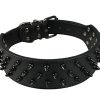 Dogs Kingdom Leather Black Spiked Studded Dog Collar 2