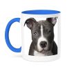 3dRose American Pit Bull Terrier Puppy-Two Tone Blue Mug, 1 Count (Pack of 1), Multicolored