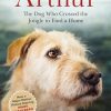 Arthur: The Dog who Crossed the Jungle to Find a Home ((Now the Film Arthur the King))