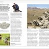 The Dog Encyclopedia (DK Pet Encyclopedias) - Image 11