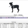 haoyueer Spiked Dog Collar for Small Dogs, Mushrooms Rivet Soft Pu Leather Spike Stud Studded Cat Collar Adjustable for Mini Tiny Breed Pet Teacup Puppy (S, Black) - Image 5