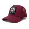 GOLD STAR HAT - Pit bull trucker hat unisex Burgundy cap