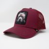 GOLD STAR HAT - Pit bull trucker hat unisex Burgundy cap - Image 3