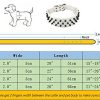 Dogs Kingdom Leather Black Spiked Studded Dog Collar 2" Wide, 31 Spikes 52 Studdeds Pit Bull, Boxer Collar - Image 2