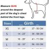 PoyPet No Pull Dog Harness, Reflective Comfortable Vest Harness with Front & Back 2 Leash Attachments and Easy Control Handle Adjustable Soft Padded Pet Vest for Small Medium Large Dogs (Mint Blue,M) - Image 3