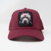 GOLD STAR HAT - Pit bull trucker hat unisex Burgundy cap - Image 5