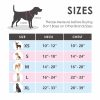 PHOEPET 2019 Upgraded No Pull Dog Harness, Reflective Adjustable Vest, with a Training Handle + 2 Metal Leash Hooks+ 3 Snap Buckles +4 Slide Buckles(L, Pink) - Image 3