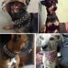 Didog 2" Width Bandana Style Scarf Leather Dog Collar, Spiked Studded Fit Dalmatian Pit bull Terrier,Brown XL Size - Image 2