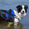 Bolux Dog Harness, No-Pull Reflective Dog Vest, Breathable Adjustable Pet Harness with Handle for Outdoor Walking - No More Pulling, Tugging or Choking (Blue, S) - Image 3