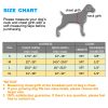 tobeDRI No Pull Dog Harness Adjustable Reflective Oxford Easy Control Medium Large Dog Harness with A Free Heavy Duty 5ft Dog Leash (L (Neck: 18"-25.5", Chest: 24.5"-33"), Blue Harness+Leash) - Image 2