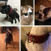Berry Pet Sharp Spiked Studded Dog Collar - Stylish Leather Dog Collars - 2 Inch in Width Fit for Medium & Large Dogs - Such as Pitbull Mastiff - Black Rivets & Red Leather,15-18" - Image 4