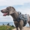 OneTigris Adjustable Tactical Dog Harness with Handle Full Body Dog Vest for Hiking Training Outdoor(Grey,Small) - Image 7