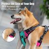 PoyPet No Pull Dog Harness, Reflective Comfortable Vest Harness with Front & Back 2 Leash Attachments and Easy Control Handle Adjustable Soft Padded Pet Vest for Small Medium Large Dogs (Mint Blue,M) - Image 6