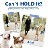 Supet Dog Prong Collar, Adjustable Dog Pinch Training Pinch Collar with Quick Release Buckle for Small Medium Large Dogs(Packed with One Extra Links) - Image 7