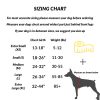 ShawnCo Essential Dog Harness, No-Pull Pet Vest with 3 Leash Clips, No Choke, Reflective, Adjustable and Padded, for Easy Walking and Training for Small, Medium and Large Dogs (Oceanic Blue, S) - Image 5