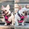 PoyPet No Pull Dog Harness, No Choke Front Clip Dog Reflective Harness, Adjustable Soft Padded Pet Vest with Easy Control Handle for Small to Large Dogs(Pink,M) - Image 2