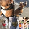 Didog 2" Width Bandana Style Scarf Leather Dog Collar, Spiked Studded Fit Dalmatian Pit bull Terrier,Brown XL Size - Image 3