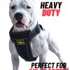 KNK Big Large Heavy Duty Dog Harness Vest, Medium Sized Dogs and Strong Dogs, Durable, Thick, Sturdy Adjustable 2 Leash Metal Clips on Back, Soft & Padded Chest