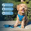 Best Pet Supplies Voyager Adjustable Dog Harness with Reflective Stripes for Walking, Jogging, Heavy-Duty Full Body No Pull Vest with Leash D-Ring, Breathable All-Weather - Harness (Turquoise), L - Image 5