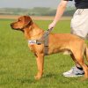 Annchwool No Pull Dog Harness with Soft Padded Handle,Reflective Strip Escape Proof and Quick Fit to Adjust Dog Harness,Easy for Training Walking for Small & Medium and Large Dog(Brown,M) - Image 3