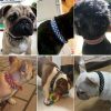 Spiked Dog Collar for Small Dogs Soft PU Leather Spike Puppy Collar Anti Bite Studded Rivet Cat Collar for Kittens Small Medium Pets Like Chihuahua Pug Pit Bull Bulldog, Black XS - Image 3