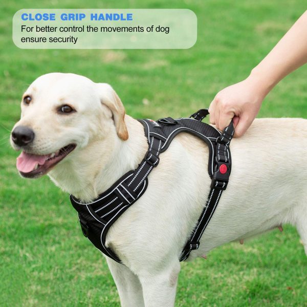 tobeDRI No Pull Dog Harness Adjustable Reflective Oxford Easy Control Medium Large Dog Harness with A Free Heavy Duty 5ft Dog Leash (L (Neck: 18"-25.5", Chest: 24.5"-33"), Blue Harness+Leash) - Image 3