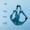 Best Pet Supplies Voyager Adjustable Dog Harness with Reflective Stripes for Walking, Jogging, Heavy-Duty Full Body No Pull Vest with Leash D-Ring, Breathable All-Weather - Harness (Turquoise), L - Image 7
