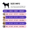 IVY&LANE No Pull Dog Harness for Medium Dogs, Dog Vest Harness with Leash, Safety Belt and Storage Strap, Fully Adjustable Harness, 360° Reflective Strip, Soft Handle (Purple, M) - Image 6