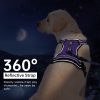 IVY&LANE No Pull Dog Harness for Medium Dogs, Dog Vest Harness with Leash, Safety Belt and Storage Strap, Fully Adjustable Harness, 360° Reflective Strip, Soft Handle (Purple, M) - Image 3