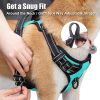 PoyPet No Pull Dog Harness, Reflective Comfortable Vest Harness with Front & Back 2 Leash Attachments and Easy Control Handle Adjustable Soft Padded Pet Vest for Small Medium Large Dogs (Mint Blue,M) - Image 5