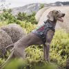 OneTigris Adjustable Tactical Dog Harness with Handle Full Body Dog Vest for Hiking Training Outdoor(Grey,Small) - Image 4