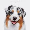 Good Dog: A Collection of Portraits