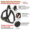 KNK Big Large Heavy Duty Dog Harness Vest, Medium Sized Dogs and Strong Dogs, Durable, Thick, Sturdy Adjustable 2 Leash Metal Clips on Back, Soft & Padded Chest - Image 4