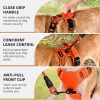 Juqiboom No Pull Dog Harness with A Free Heavy Duty 5ft Dog Leash, Adjustable Soft Padded Dog Vest, Reflective No-Choke Pet Oxford Vest with Easy Control Handle for Small and Large Dogs(Orange, Small) - Image 3