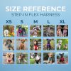 Best Pet Supplies Voyager Adjustable Dog Harness with Reflective Stripes for Walking, Jogging, Heavy-Duty Full Body No Pull Vest with Leash D-Ring, Breathable All-Weather - Harness (Turquoise), L - Image 4