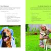 The Forever Dog Life: 120+ Recipes, Longevity Tips, and New Science for Better Bowls and Healthier Homes - Image 2