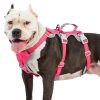 Huntboo Escape Proof Dog Harness, Escape Artist Harness, Reflective Harness with Padded Handle, Breathable, Durable, Adjustable Vest for Medium Dogs Walking, Training, and Running Gear (Rose red, M)