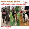 KNK Big Large Heavy Duty Dog Harness Vest, Medium Sized Dogs and Strong Dogs, Durable, Thick, Sturdy Adjustable 2 Leash Metal Clips on Back, Soft & Padded Chest - Image 2