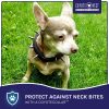 CoyoteCollar Black Dog Collars for Small Dog Breeds; Adjustable Spiked Dog Collar by CoyoteVest - Image 3