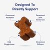 Petlab Co. Joint Care Chews for Dogs - High Levels of Glucosamine, Green Lipped Mussels, Omega 3 and Turmeric - Hip and Joint Supplement for Dogs to Actively Support Mobility - Image 7