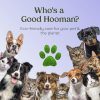 PAWFUME Premium Grooming Spray Dog Spray Deodorizer Perfume For Dogs - Dog Cologne Spray Long Lasting Dog Sprays - Dog Perfume Spray Long Lasting After Bath- Dog deodorizing Spray (Lavender) - Image 2