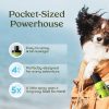 PAWFUME Premium Grooming Spray Dog Spray Deodorizer Perfume for Dogs - Dog Cologne Spray Long Lasting Dog Sprays - Dog Perfume Spray Long Lasting After Bath- Dog deodorizing Spray (Blue Ribbon) - Image 5